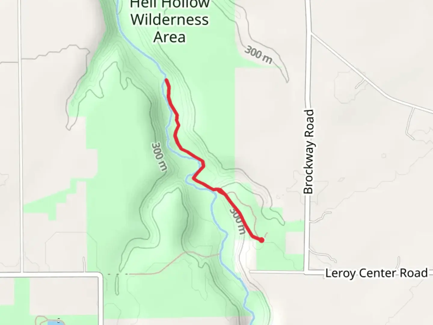 An image depicting the trail Paine Creek via Wildcat Trail and its surrounding area.