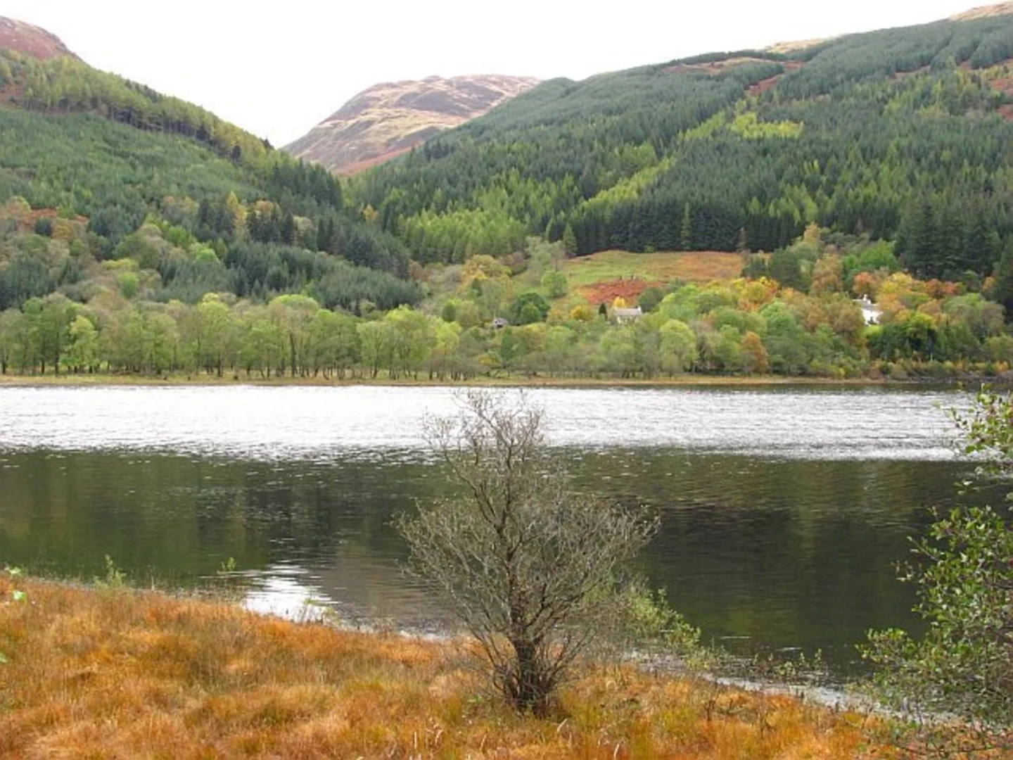 An image depicting the trail Glen Ample along Ardchullarie Burn and its surrounding area.