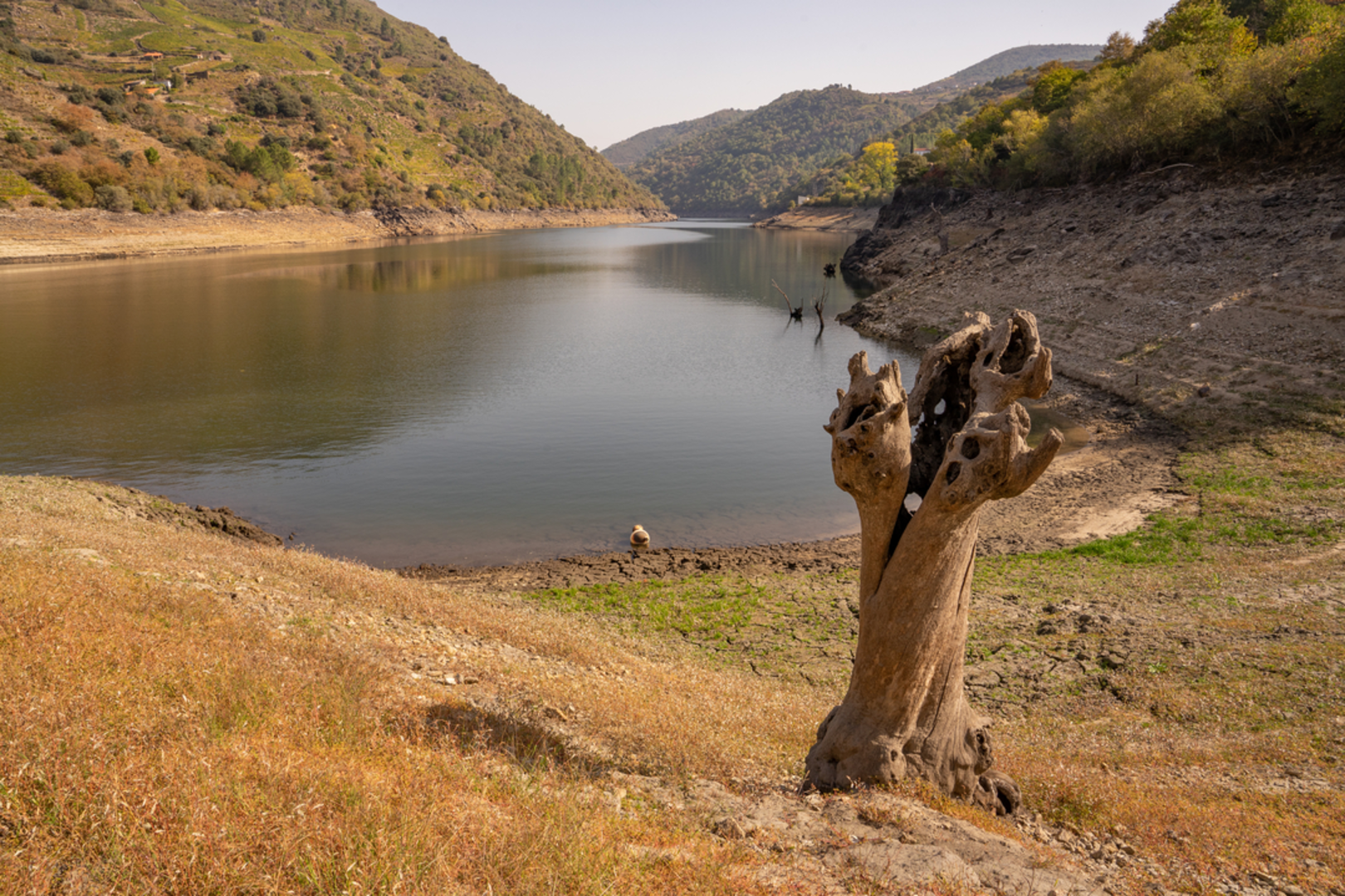 An image depicting the trail PR G 86 Sendeiro dos viñedos da Ribeira Sacra and its surrounding area.
