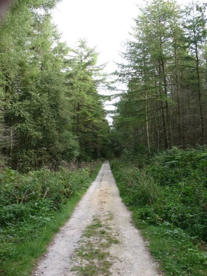 An image depicting the trail Yearsley Woods Loop from Ampleforth and its surrounding area.