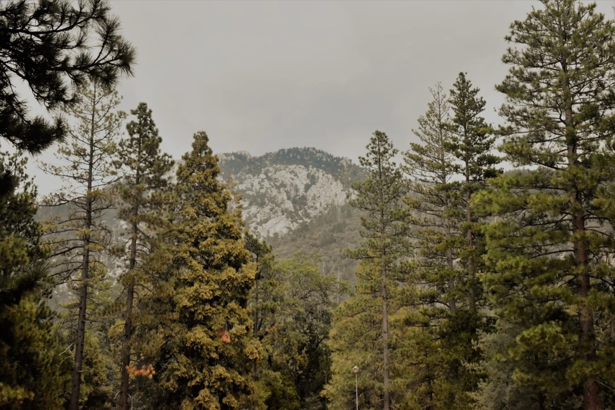 Ernie Maxwell Scenic Trail