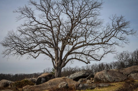 Cemetery Ridge Loop