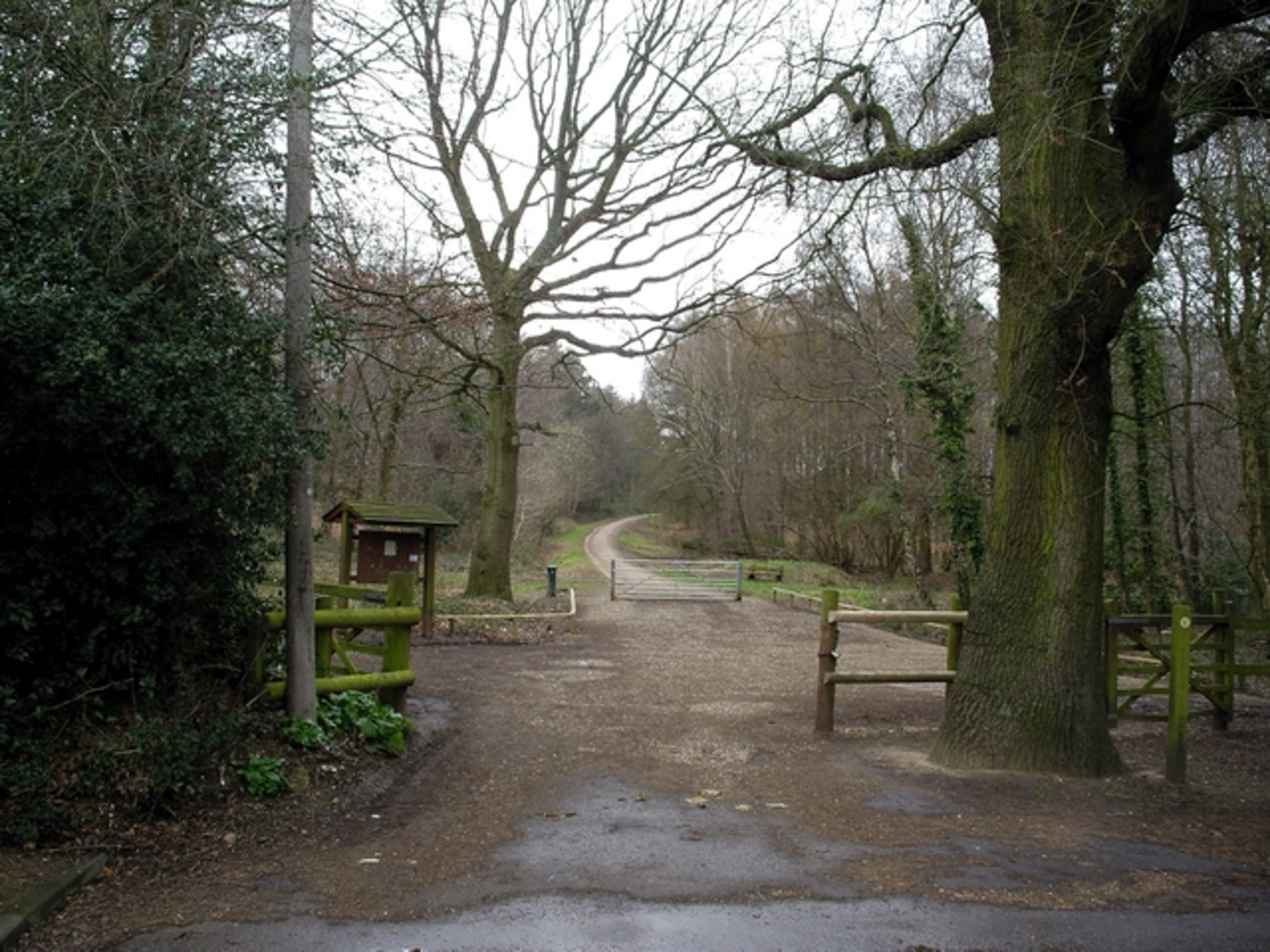 An image depicting the trail Stoke Park Wood and Upperbarn Copse Loop and its surrounding area.