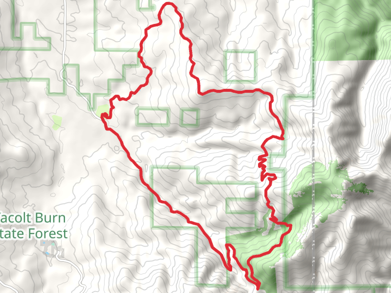 Tarbell Trail and Chinook Trail