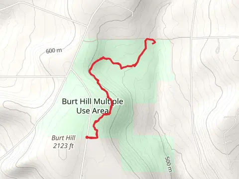 Burt Hill Road Trail - Northeast
