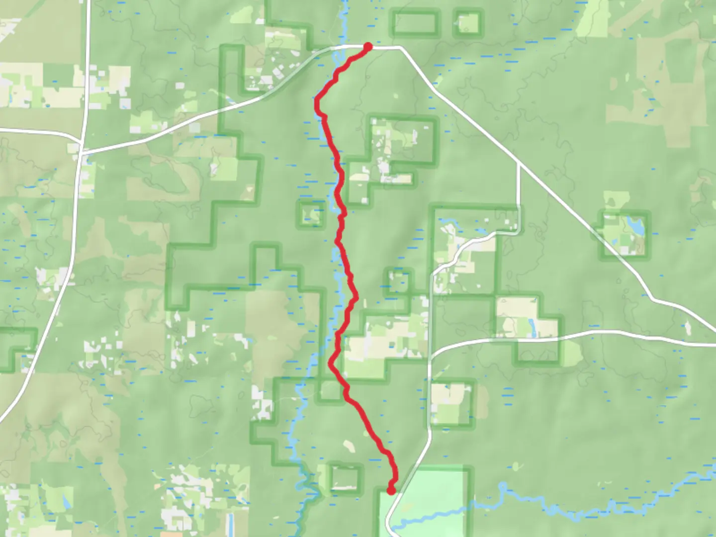 An image depicting the trail Green Branch - Juniper Creek Trail and its surrounding area.
