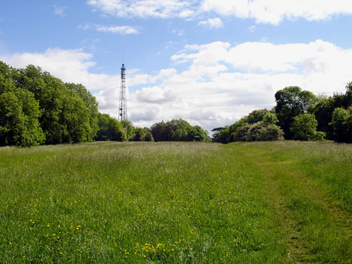 Kings Weston Woods Loop