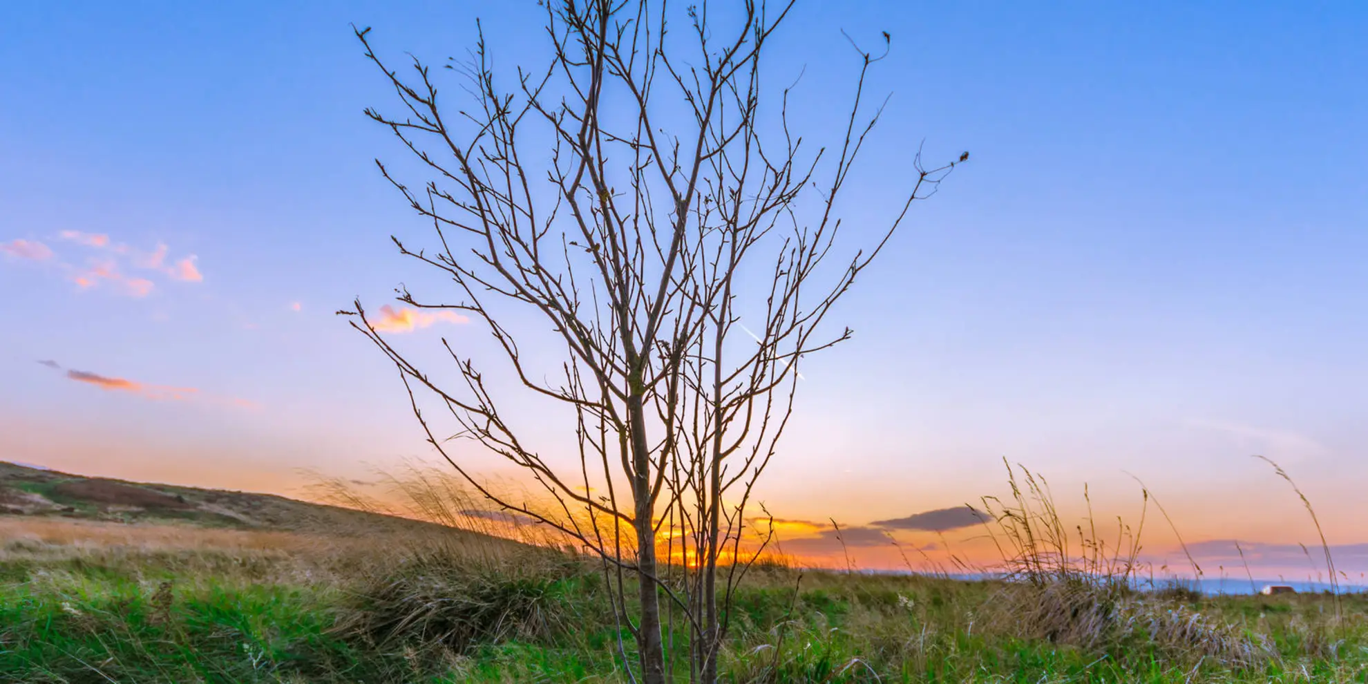 An image depicting the trail Hawksworth - Baildon Moor and Shipley Glen and its surrounding area.