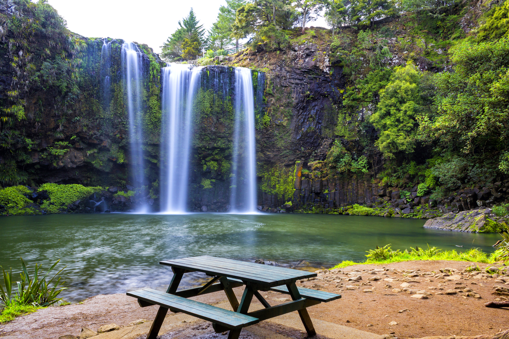 An image depicting the trail Whangarei Falls Track and its surrounding area.