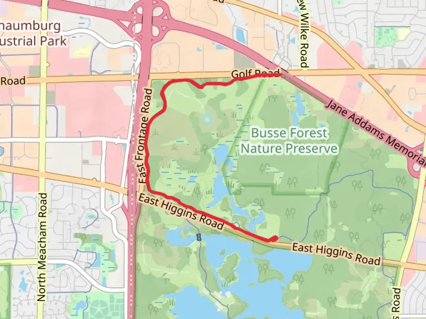 An image depicting the trail Busse Forest Trails Red Paved and its surrounding area.