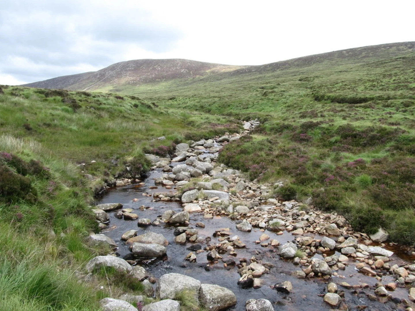 An image depicting the trail Eagle Mountain and Shanlieve Walk and its surrounding area.
