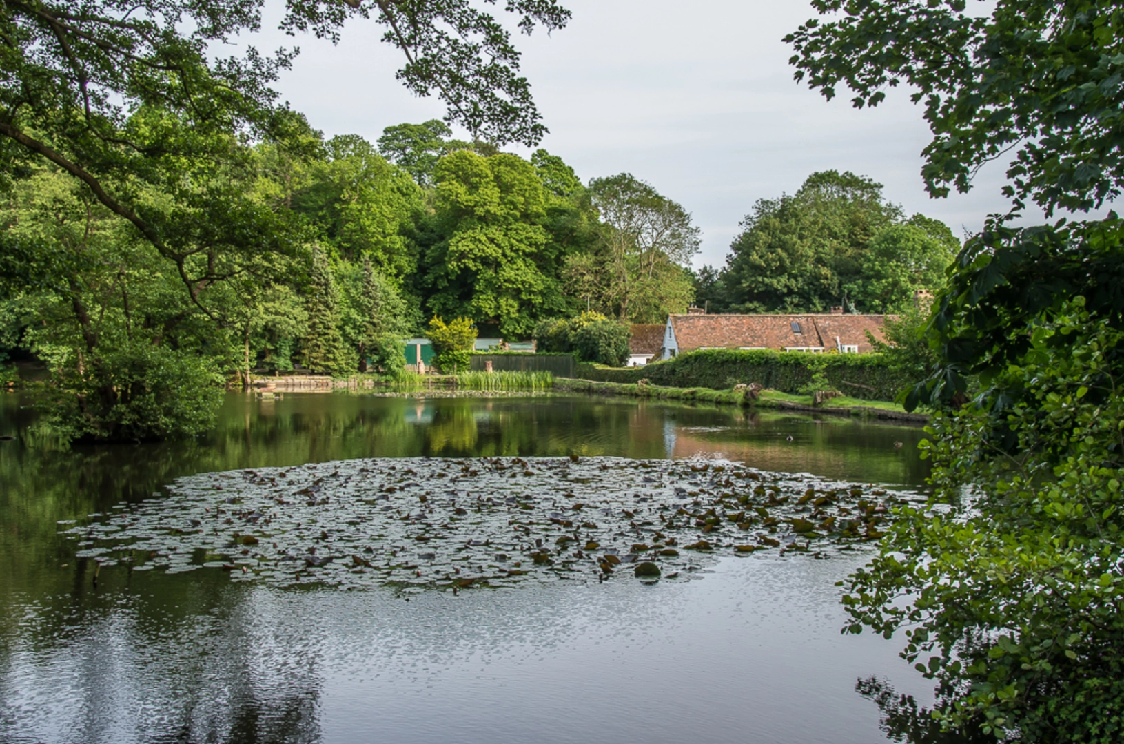An image depicting the trail Godstone Ponds Loop and its surrounding area.