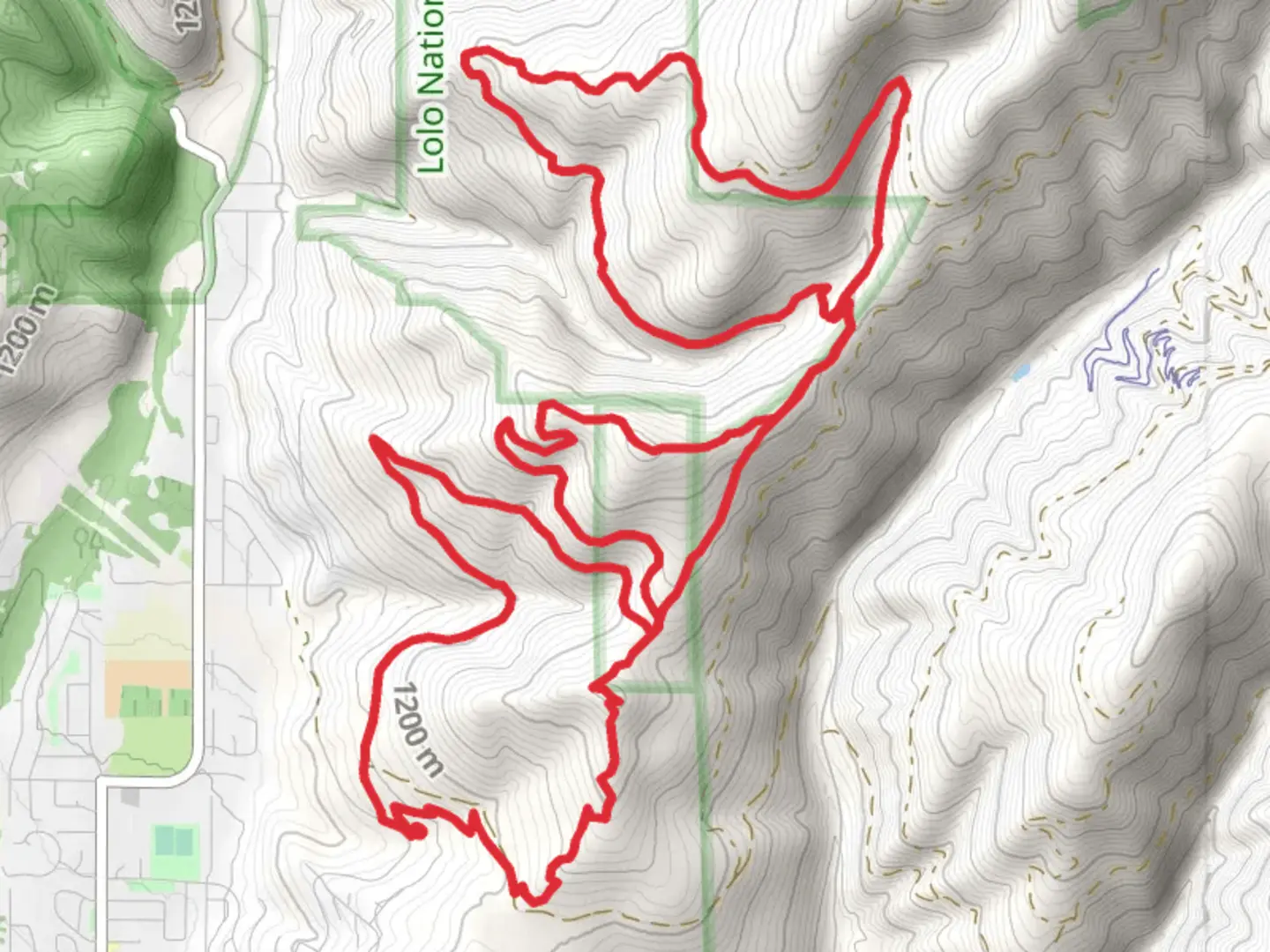 An image depicting the trail Sound of Music and Three Larches Loop and its surrounding area.