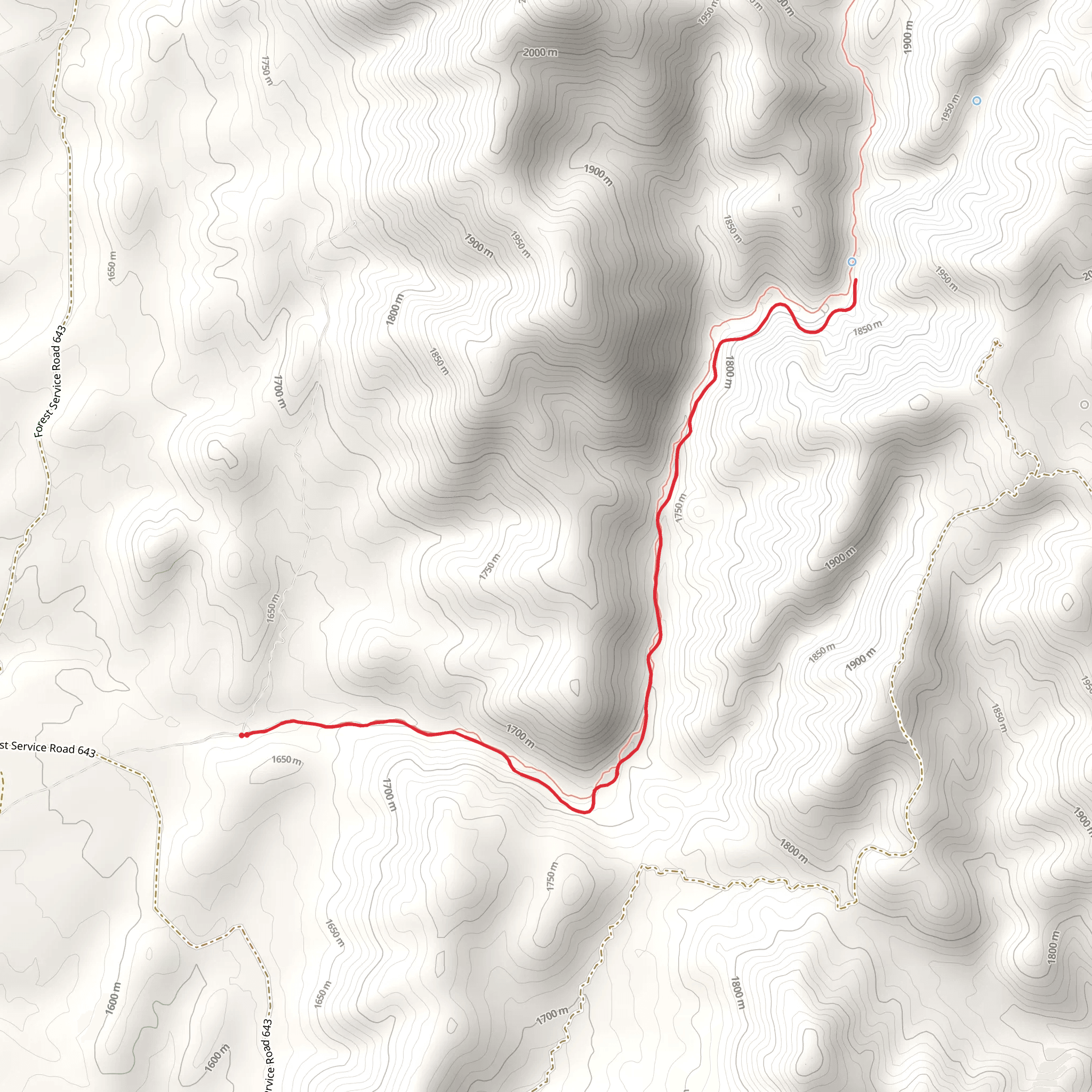 Grapevine Gulch Trail mobile static map