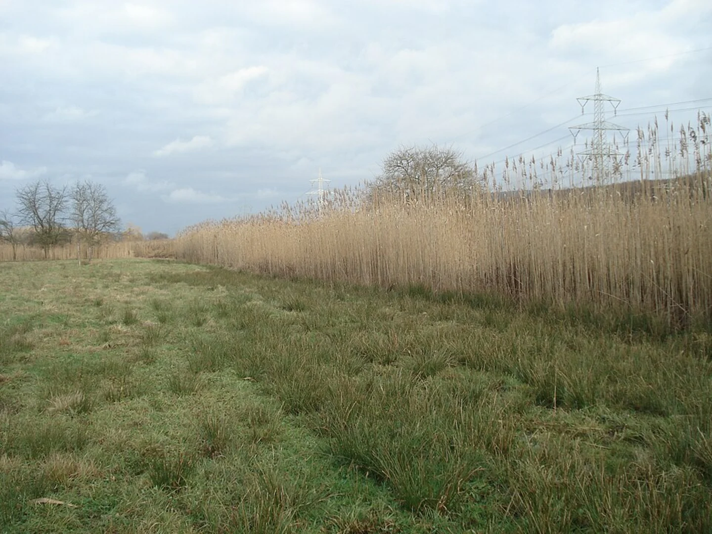 An image depicting the trail Pevestorf Loop and its surrounding area.