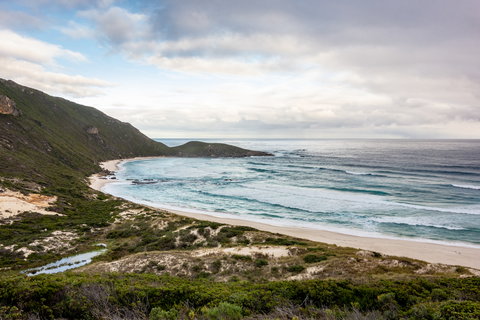 Conspicuous Beach to Rame Head Campsite