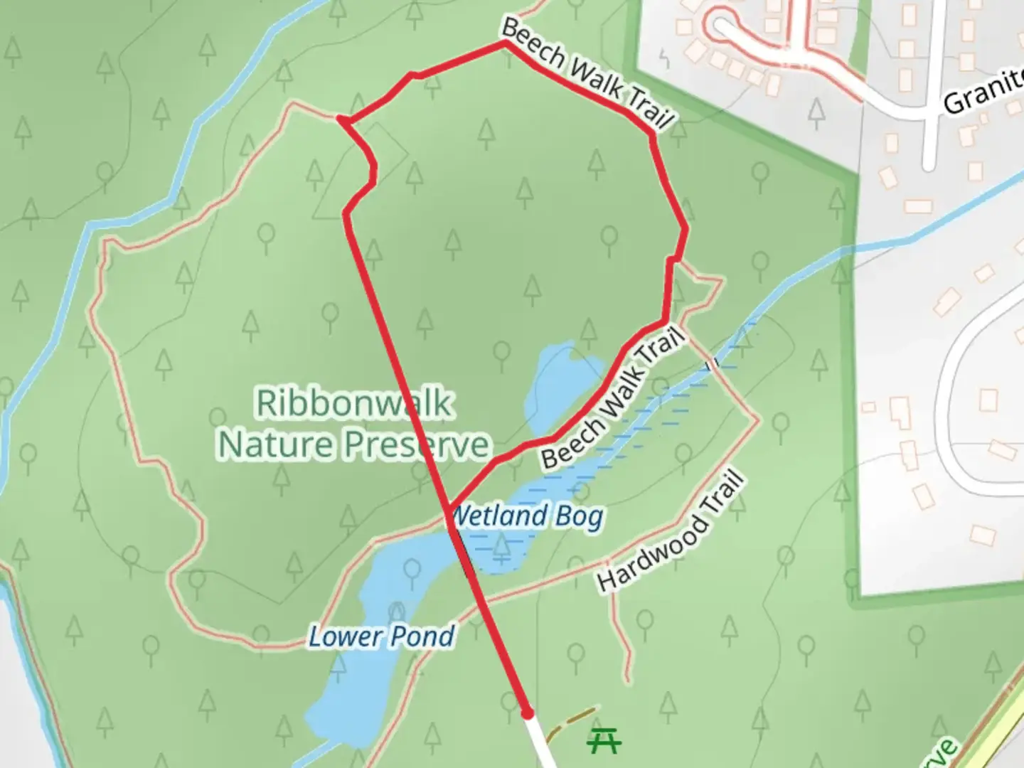 An image depicting the trail Beech Walk Loop Trail and its surrounding area.