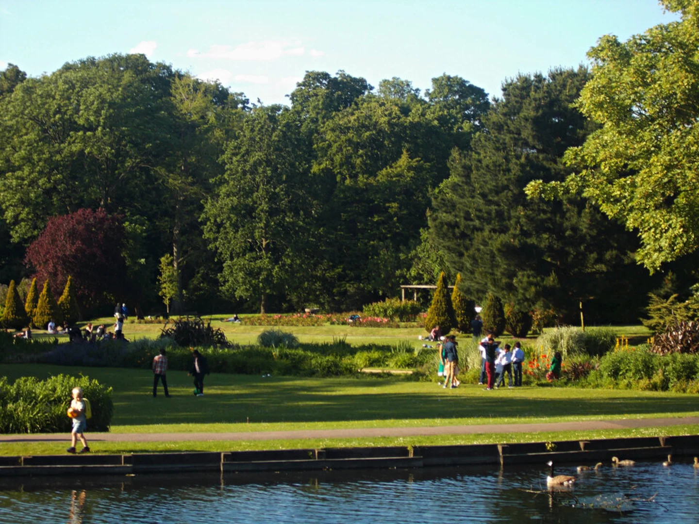 An image depicting the trail Beddington Park and its surrounding area.