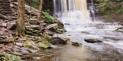 An image depicting the trail Allegheny Front Trail and its surrounding area.
