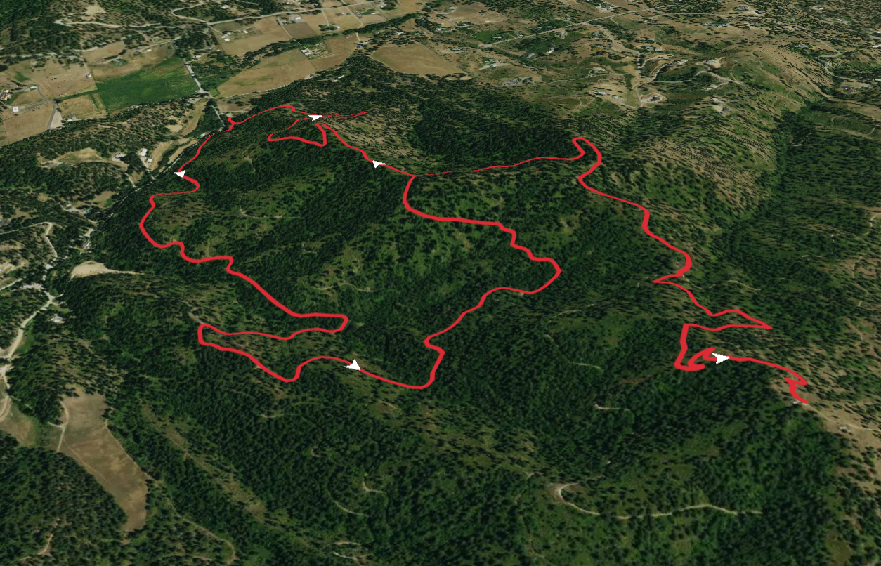 Antoine Peak via Canfield Gulch Loop