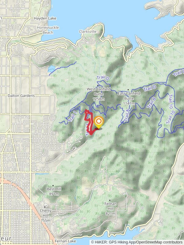 East Nettleton Gulch Road and Trail 3 Loop