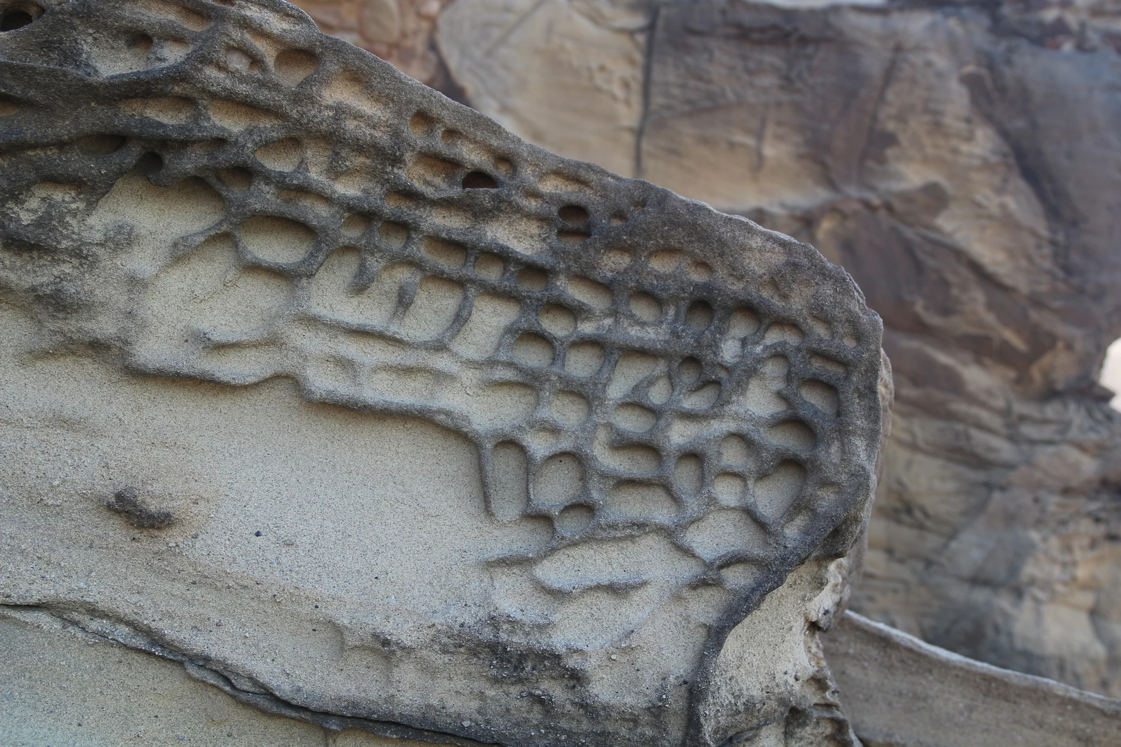 An image depicting the trail Morena Sierra Loop via Tafoni Trail and its surrounding area.