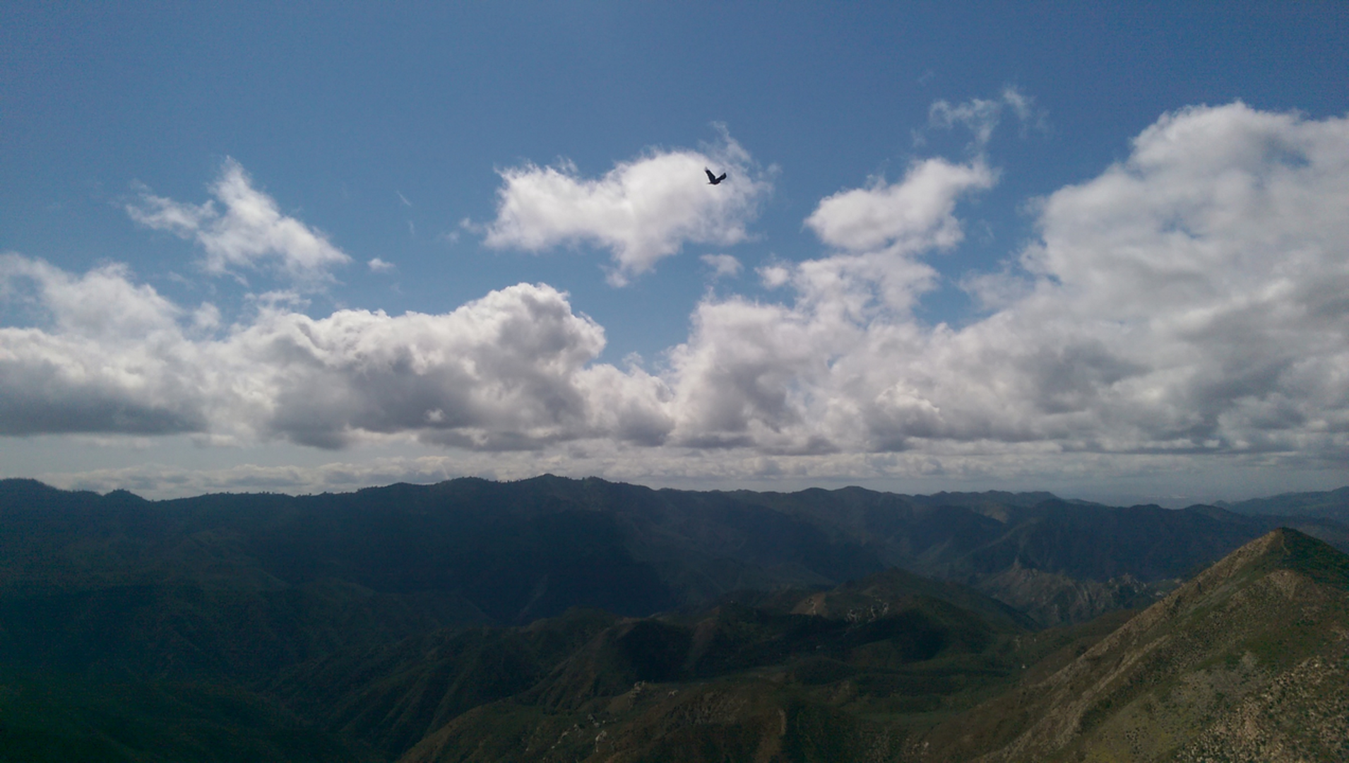 An image depicting the trail White Elephant Trail and its surrounding area.