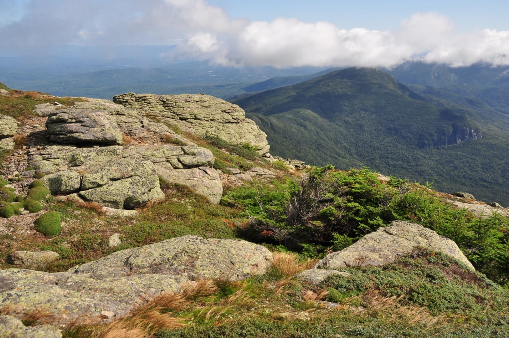 An image depicting the trail Mount South Twin and Mount Guyot via Twinway and Zealand Trail and its surrounding area.