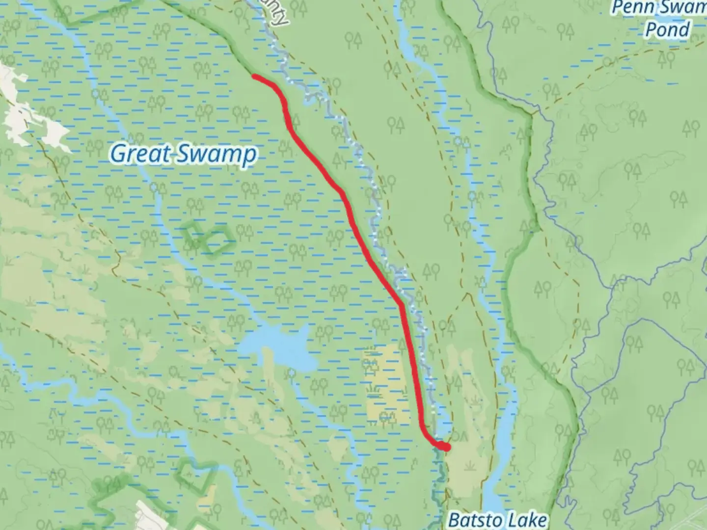 An image depicting the trail Batsto Fireline Road and its surrounding area.