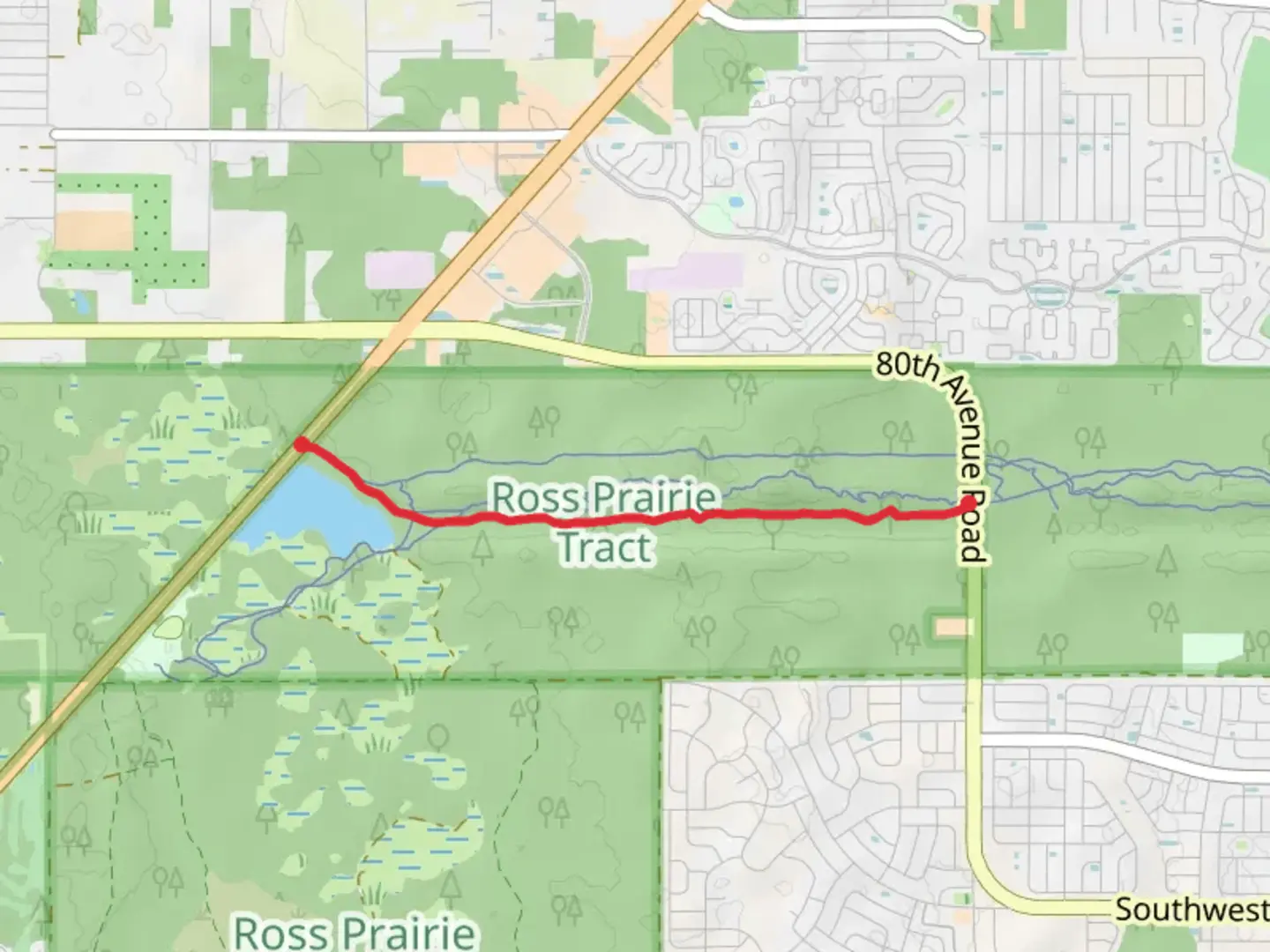 An image depicting the trail Florida Trail from Ross Prairie and its surrounding area.