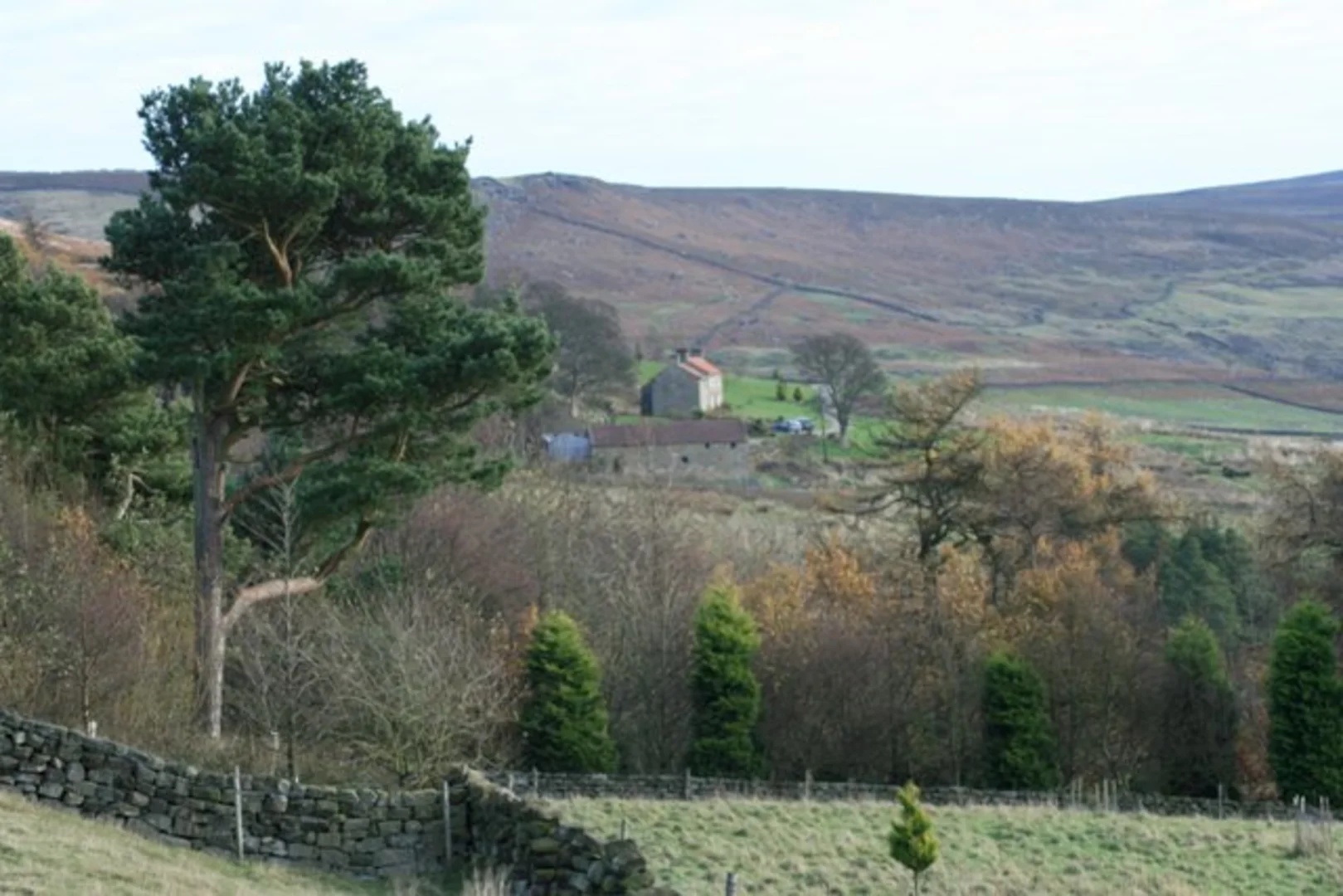An image depicting the trail White Hill and Hasty Bank via Cleveland Way and its surrounding area.