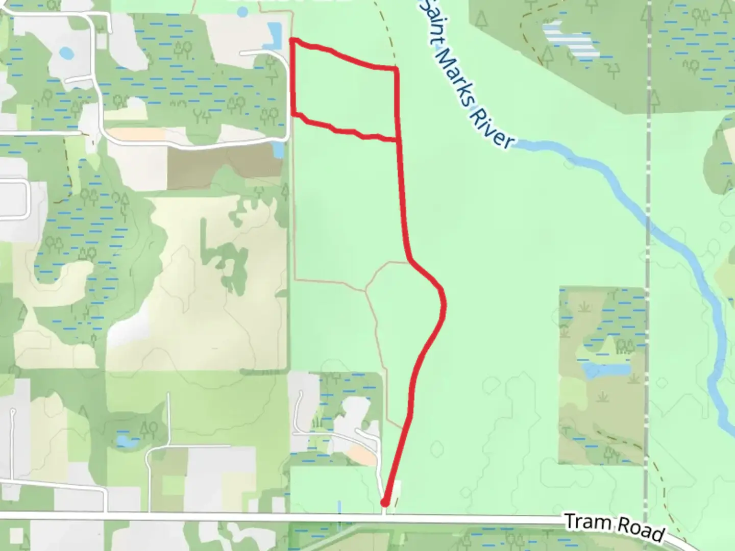 An image depicting the trail Saint Marks River Preserve State Park Short Loop and its surrounding area.