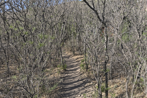 An image depicting the trail Sam Nail Ranch Trail and its surrounding area.