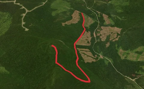 An image depicting the trail Kibby Mountain Trail and its surrounding area.