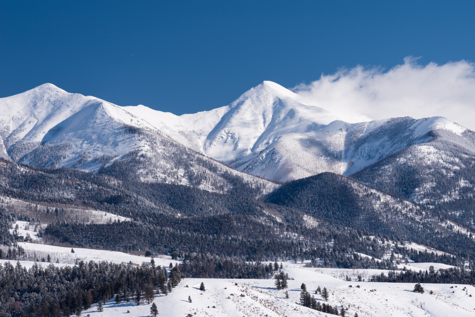 An image depicting the trail San Luis Pass Trail and its surrounding area.