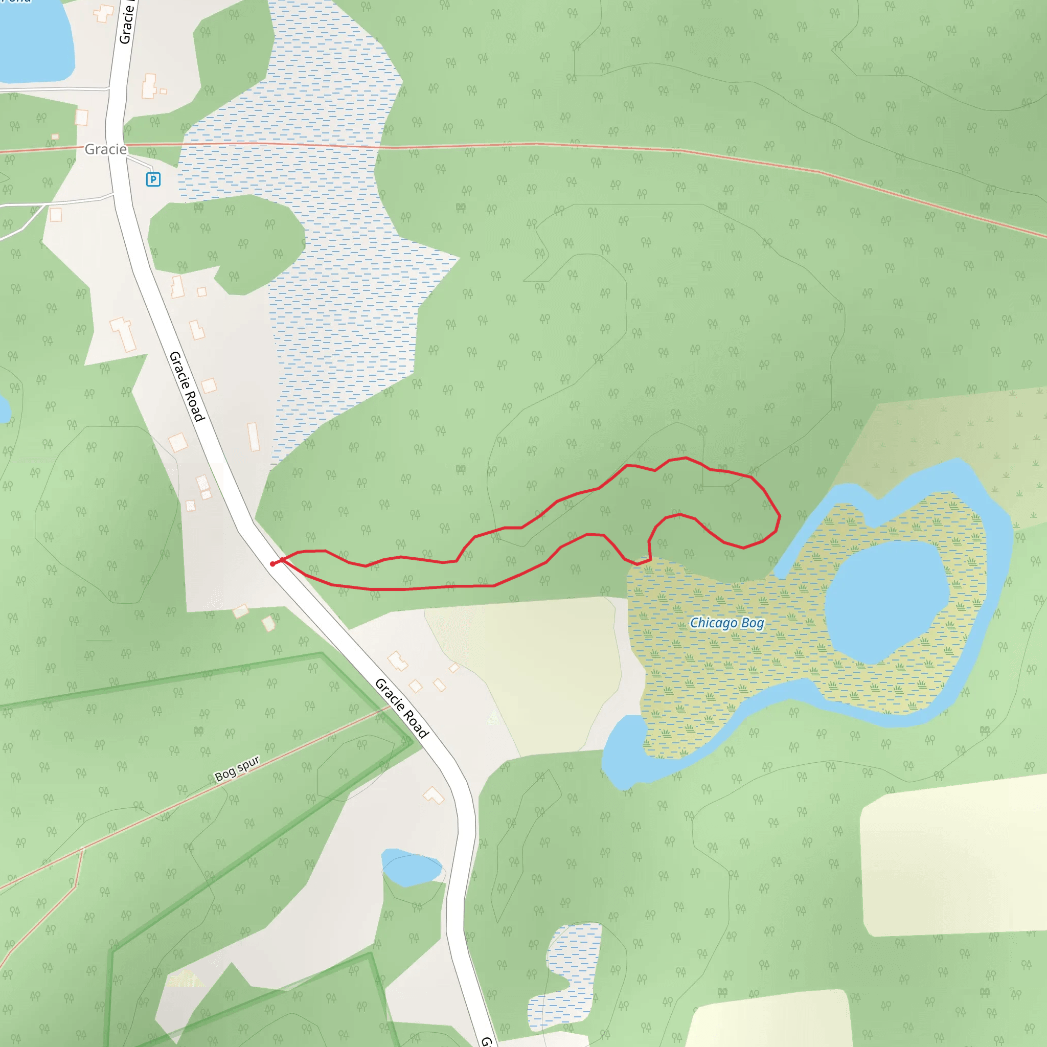 Gracie Road - East Loop mobile static map