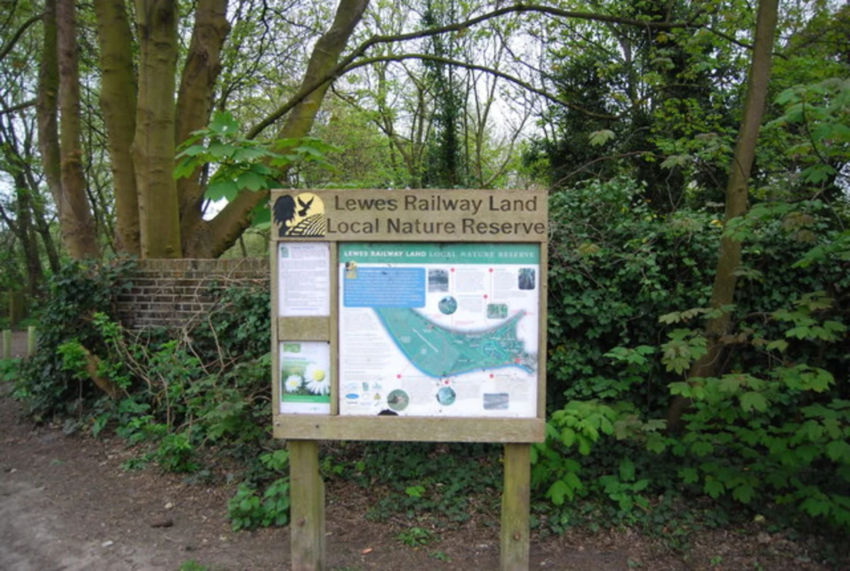 Lewes Railway Land Local Nature Reserve Loop