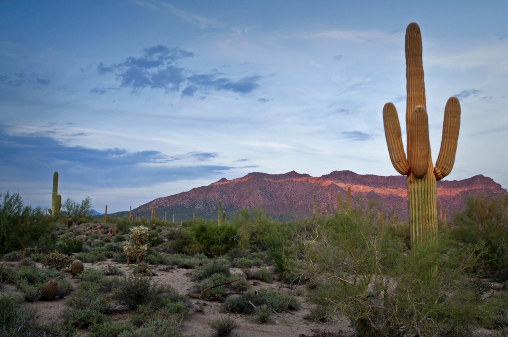 An image depicting the trail Pass Mountain Loop Trail and its surrounding area.