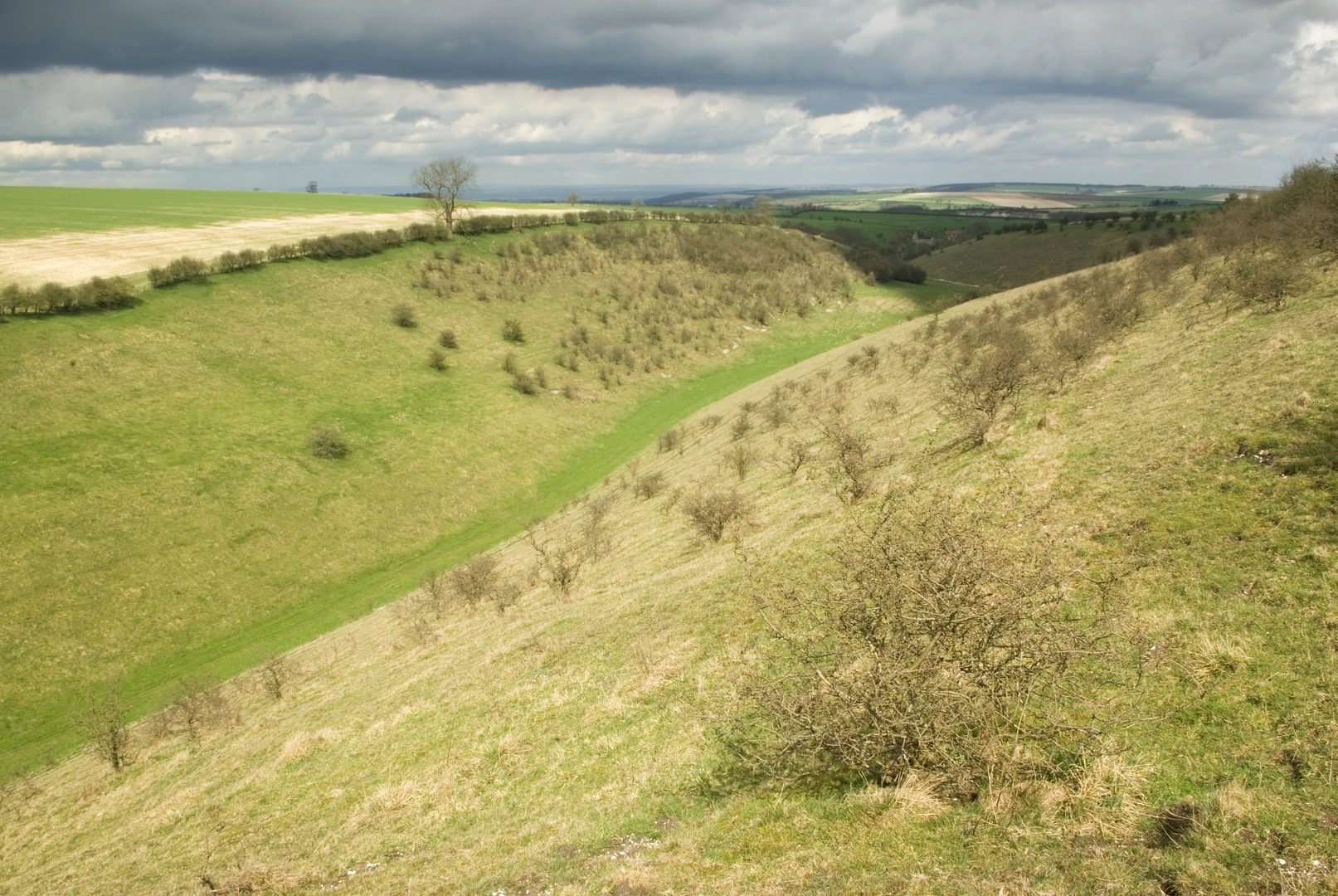 An image depicting the trail The Deserted Village of Wharram St Percy and its surrounding area.