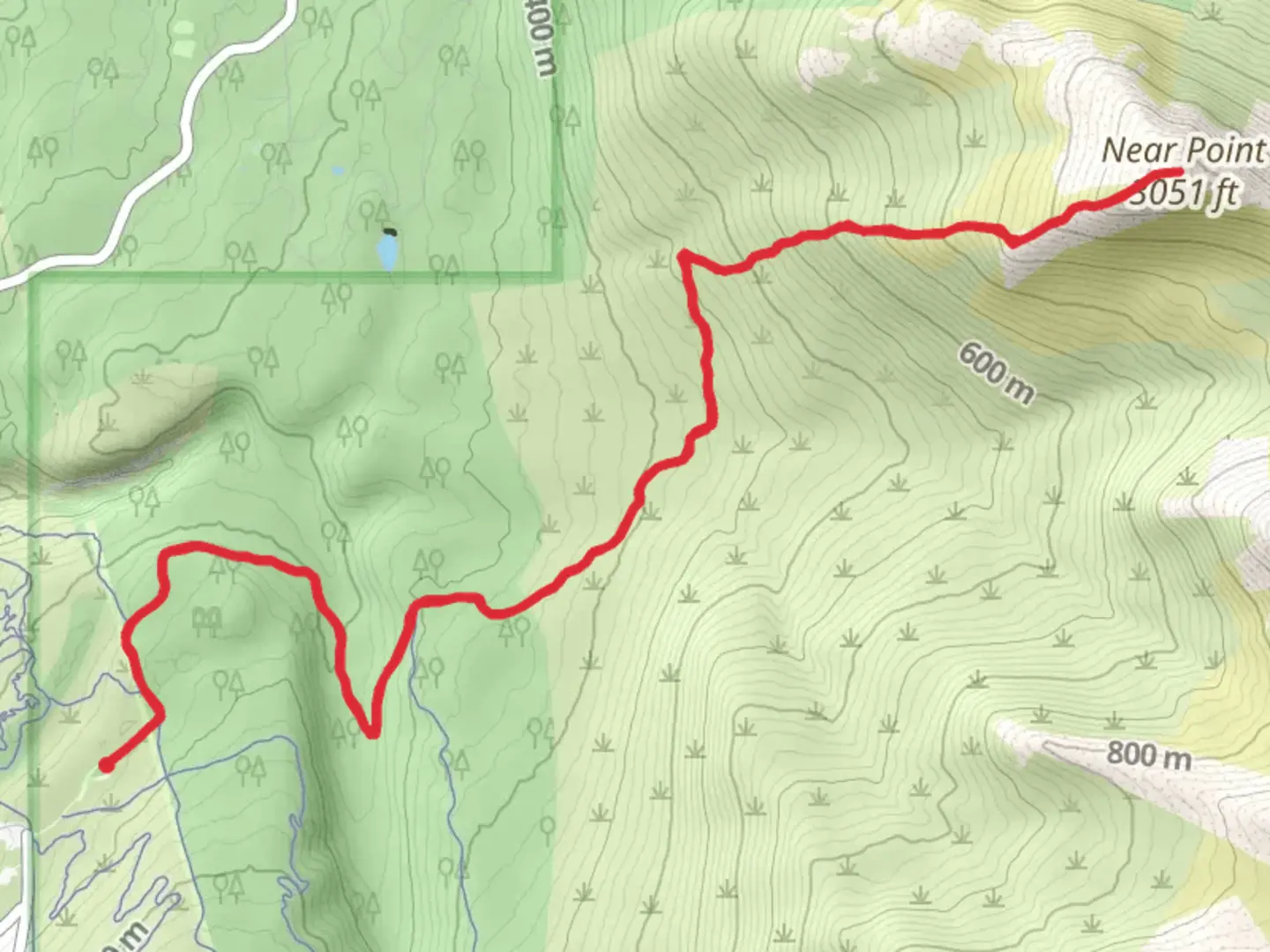 An image depicting the trail Near Point via Wolverine Trail and its surrounding area.