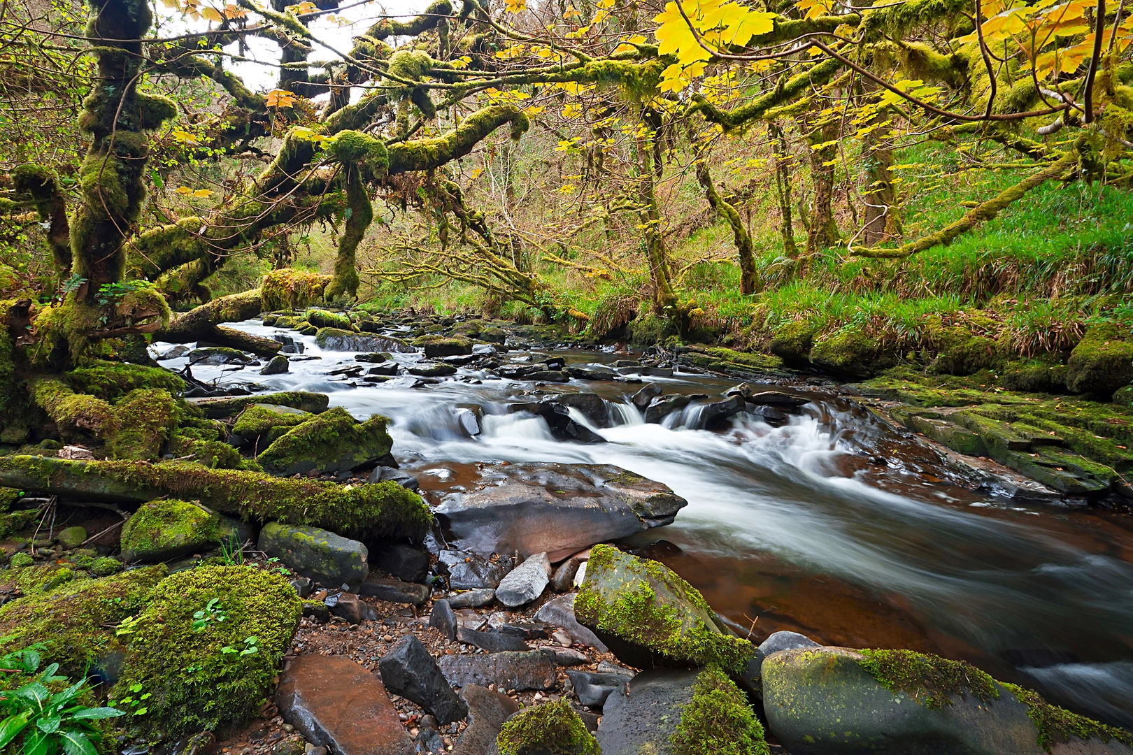 An image depicting the trail Murroe - Clare Glens Loop and its surrounding area.