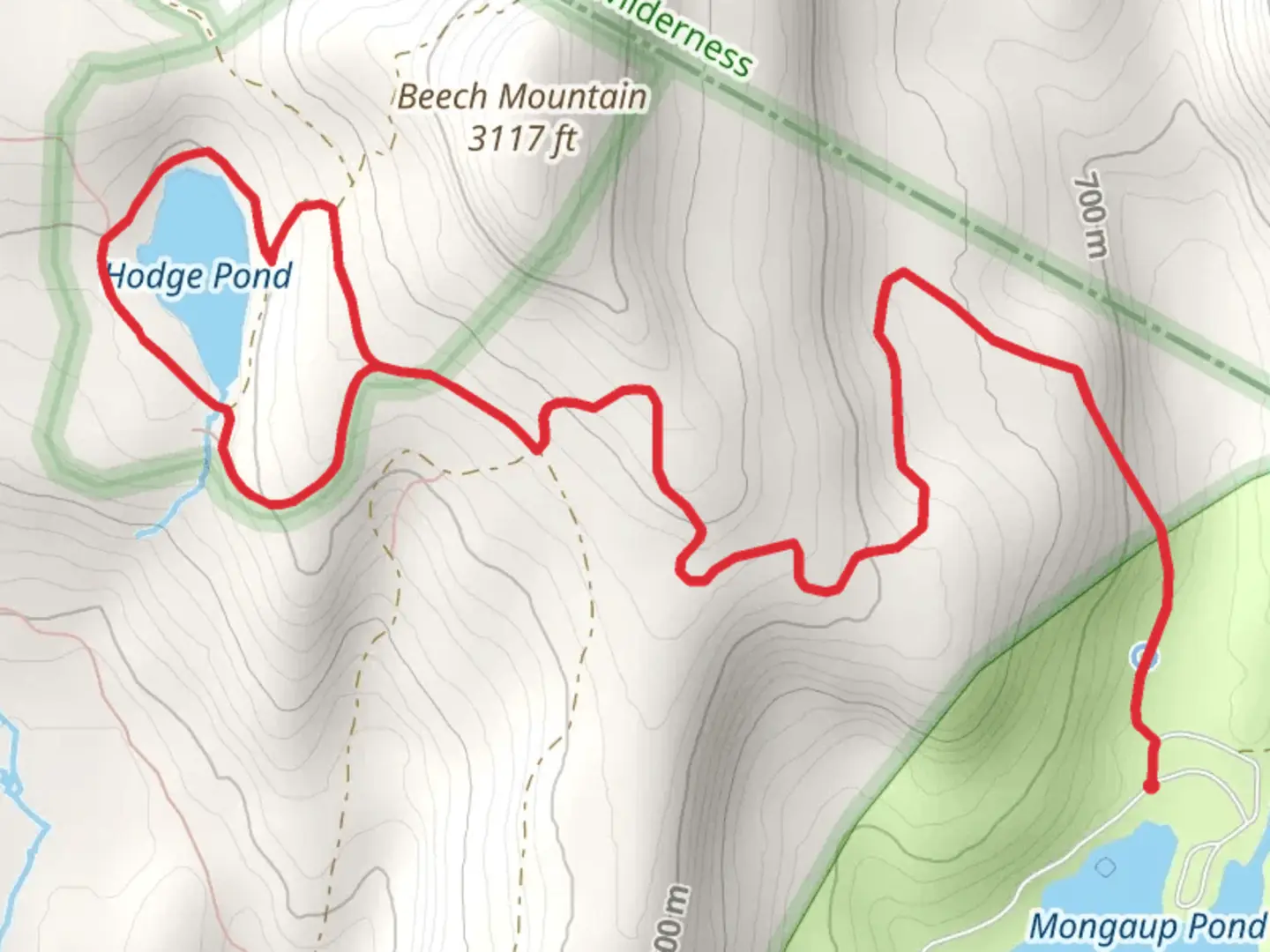 An image depicting the trail Hodge Pond Loop Trail and its surrounding area.