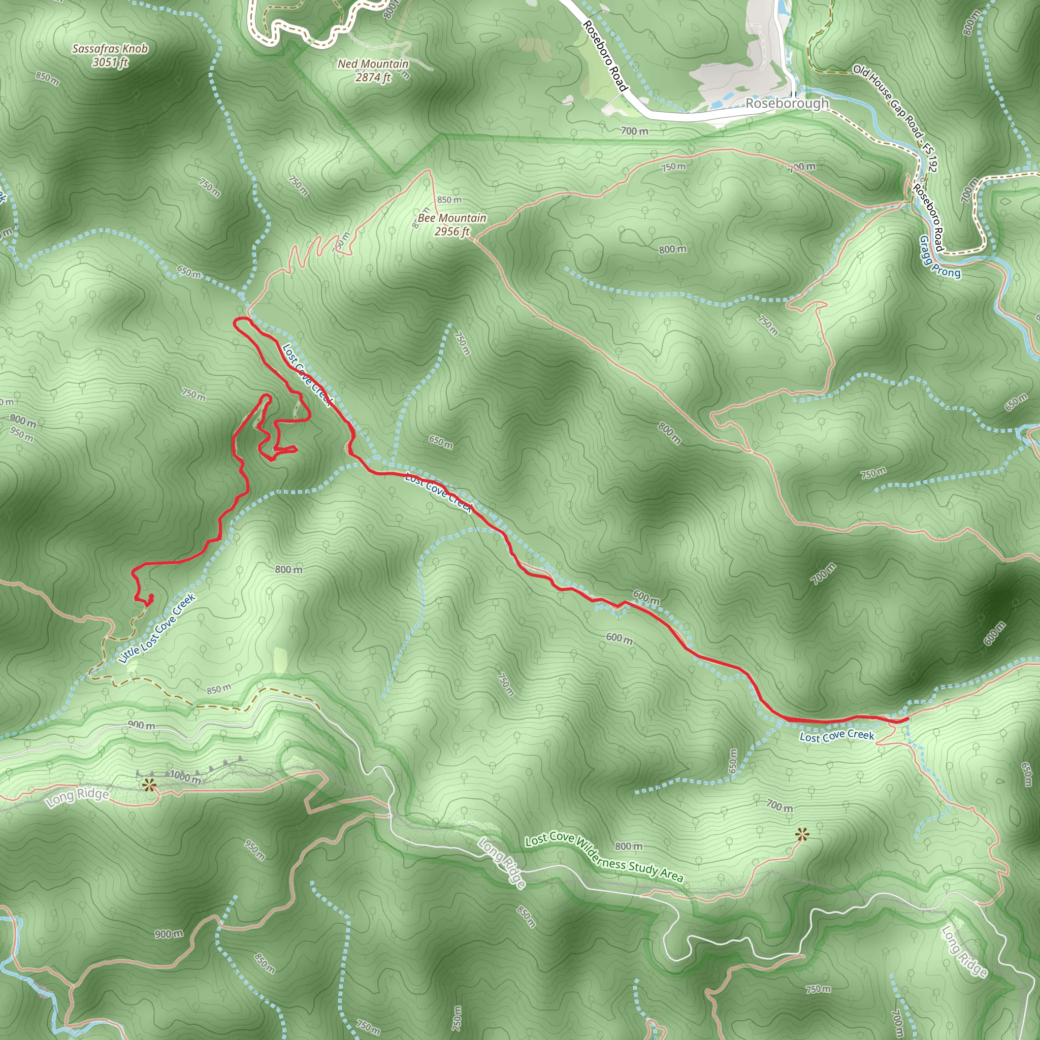Lost Cove Trail mobile static map