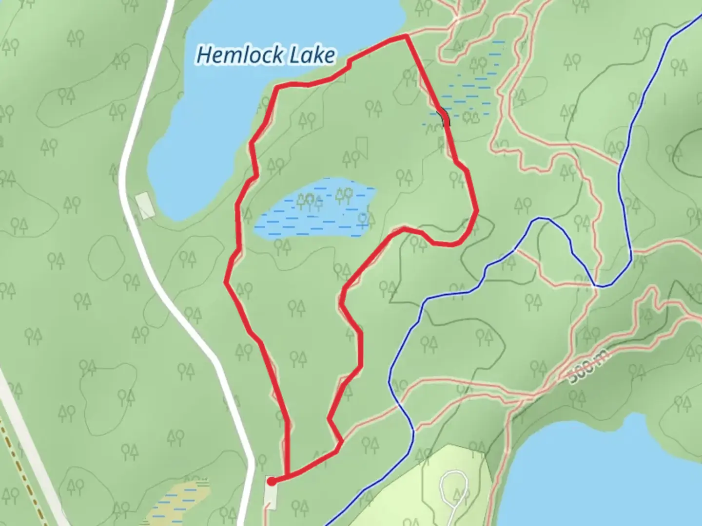 An image depicting the trail Nature and Hemlock Lake Loop Trail and its surrounding area.