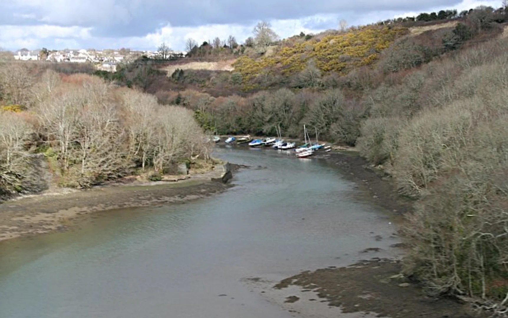 An image depicting the trail Saltash Country Park and its surrounding area.