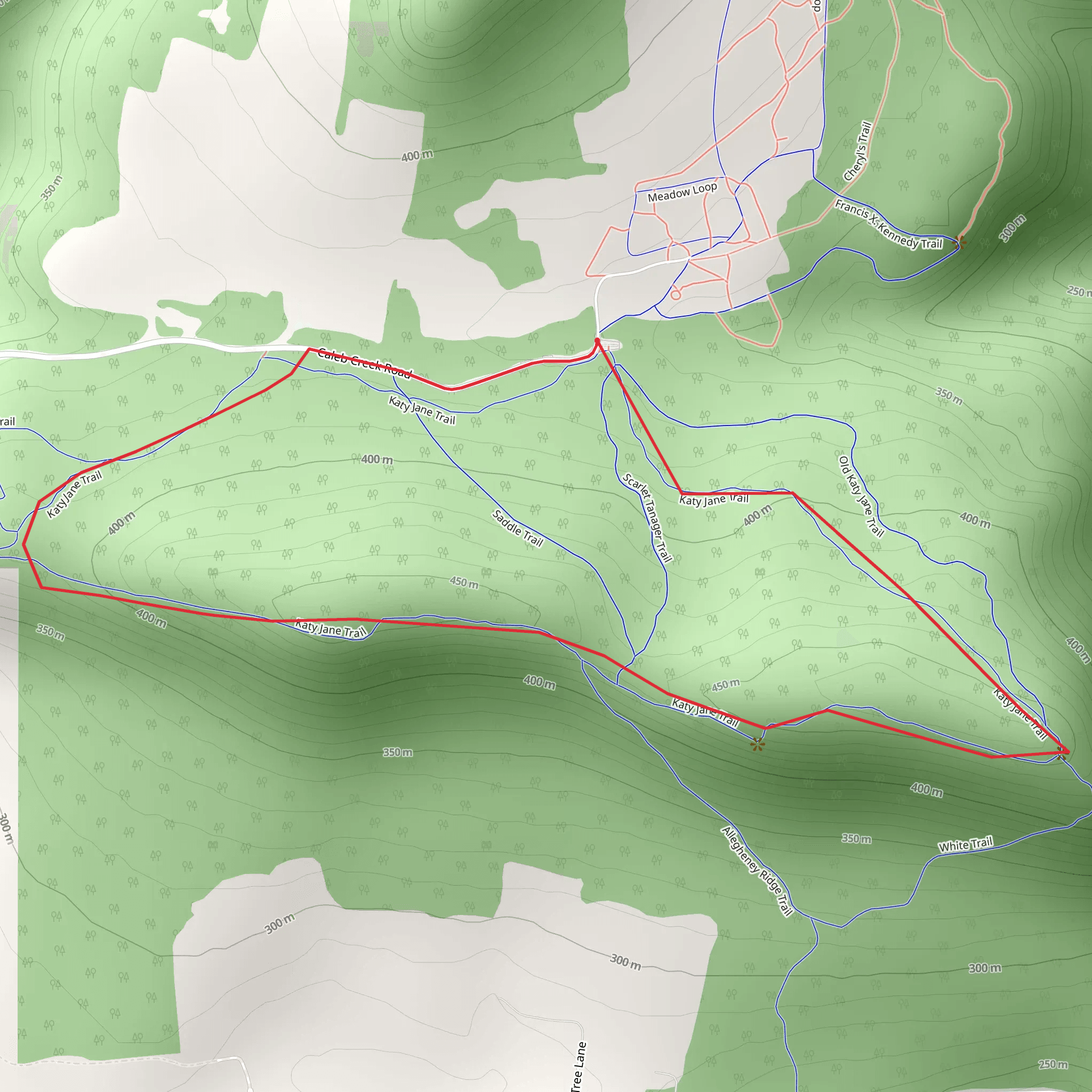 Caleb Creek Road Loop - South Ridge mobile static map