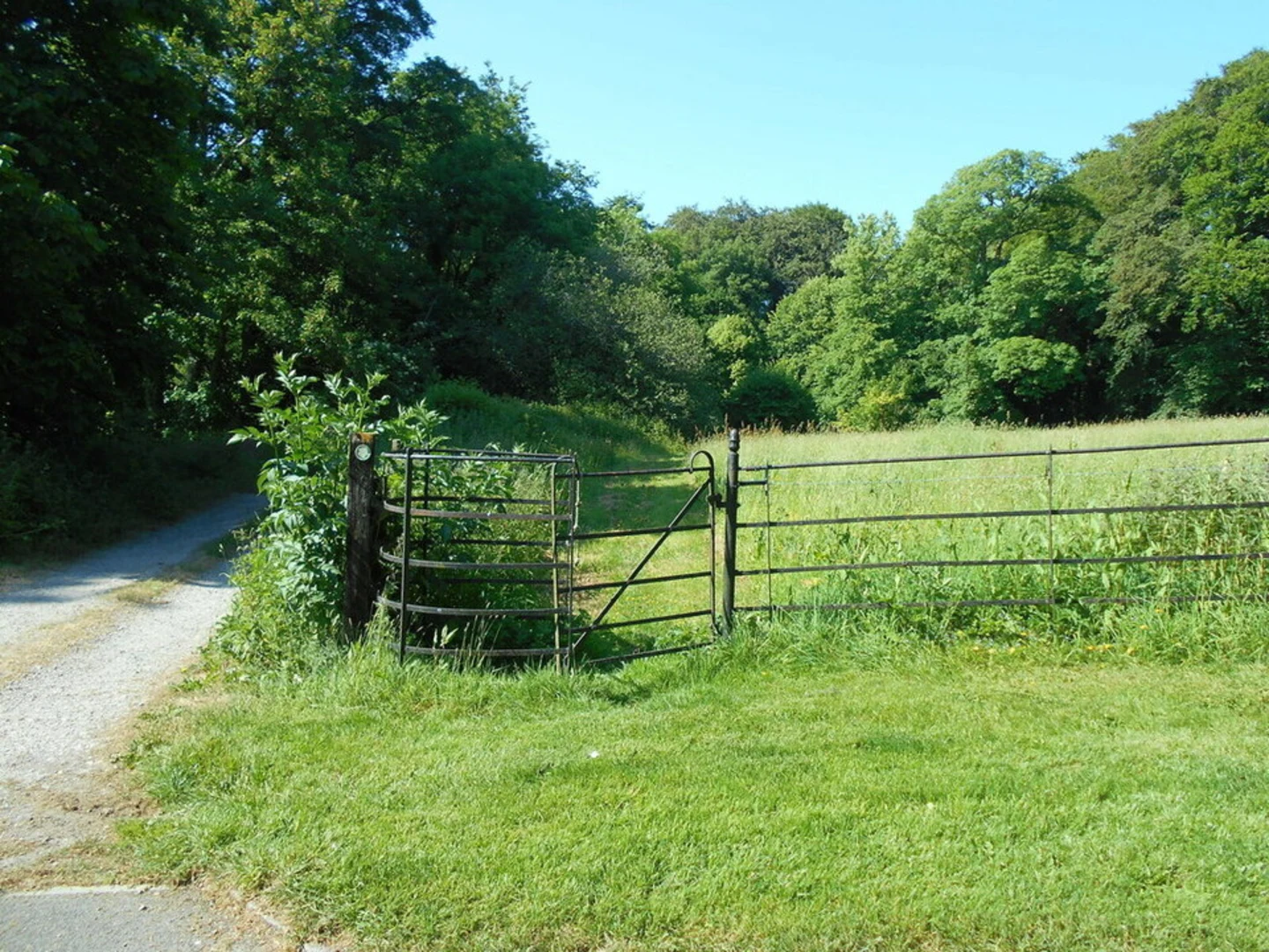 An image depicting the trail Buckland Abbey Loop and its surrounding area.