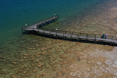 An image depicting the trail Clifton Thrombolites Lakeside Loop Walk and its surrounding area.
