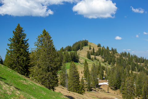 An image depicting the trail Furggelen and its surrounding area.