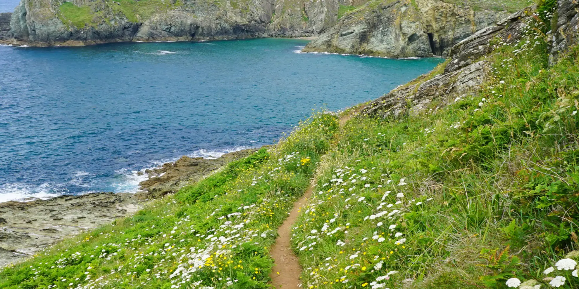 An image depicting the trail Prawle Point Walk and its surrounding area.